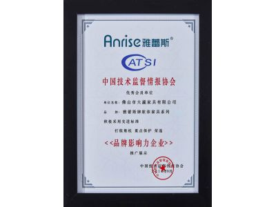 品牌影響力企業(yè)