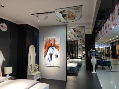 經(jīng)銷商展示24