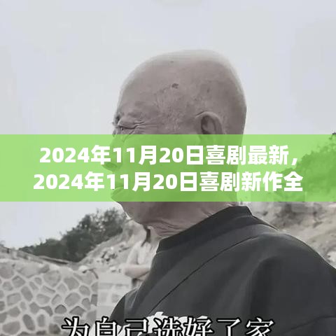 喜劇新作測(cè)評(píng),歡笑與感動(dòng)的完美結(jié)合(2024年11月20日最新)