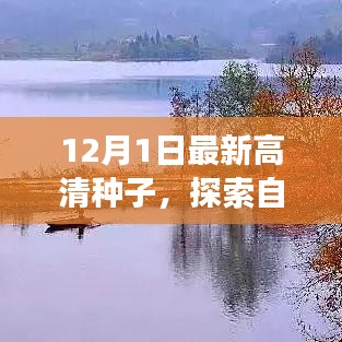 冬日的暖陽之旅,追尋內(nèi)心平靜的種子,探索自然美景的啟程
