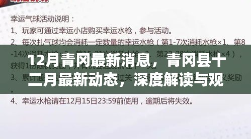 深度解讀與觀點闡述,青岡縣十二月最新動態(tài)與消息速遞