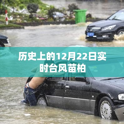 實時臺風苗柏歷史記錄,12月22日情況概述