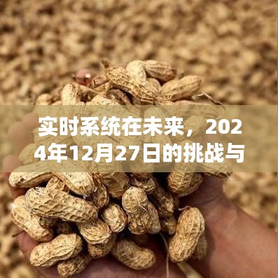 實時系統(tǒng)未來展望,挑戰(zhàn)與機(jī)遇并存