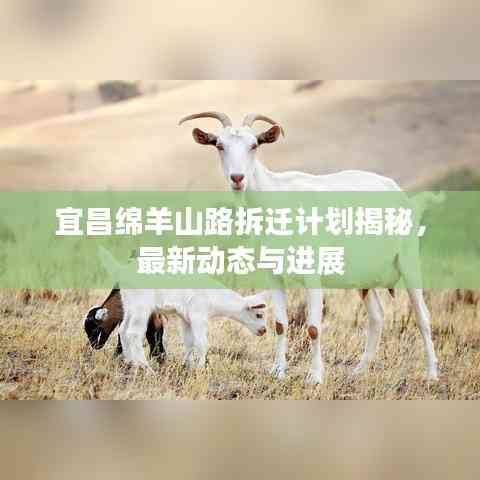 宜昌綿羊山路拆遷計劃揭秘,最新動態與進展