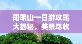 陽明山一日游攻略大揭秘,美景盡收眼底!