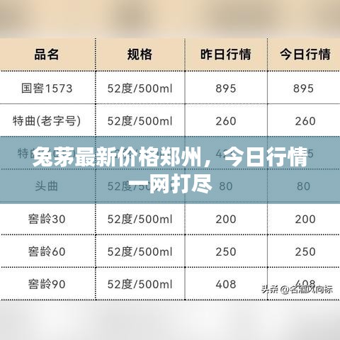 兔茅最新價格鄭州,今日行情一網(wǎng)打盡
