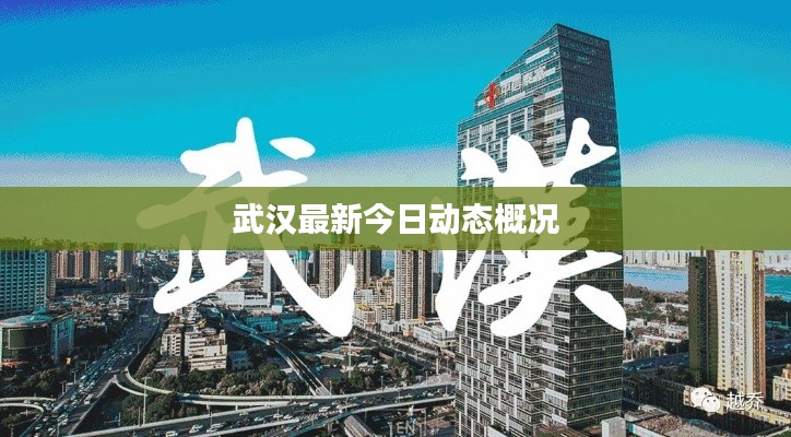 武漢最新今日動態概況