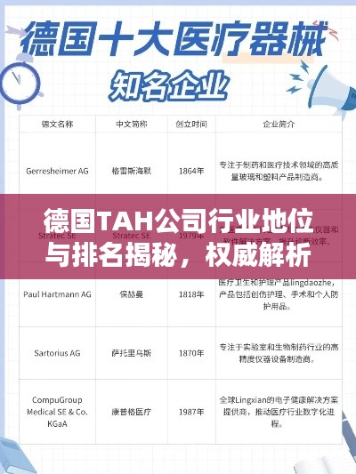 德國(guó)TAH公司行業(yè)地位與排名揭秘，權(quán)威解析引領(lǐng)關(guān)注焦點(diǎn)