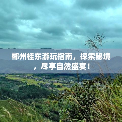 郴州桂東游玩指南,探索秘境,盡享自然盛宴!