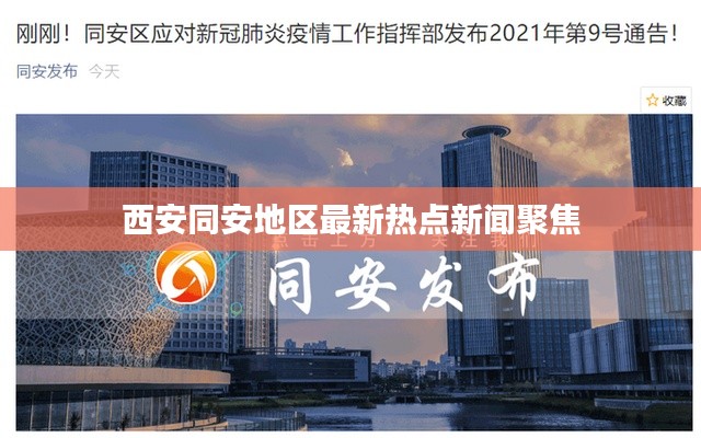 西安同安地區最新熱點新聞聚焦