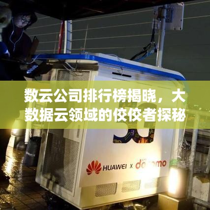 數(shù)云公司排行榜揭曉,大數(shù)據(jù)云領(lǐng)域的佼佼者探秘